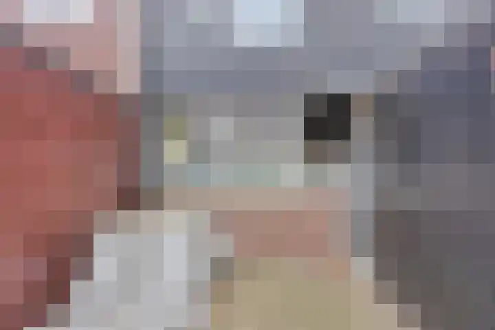 Ruinerbrink 207 Emmen thumbnail 8