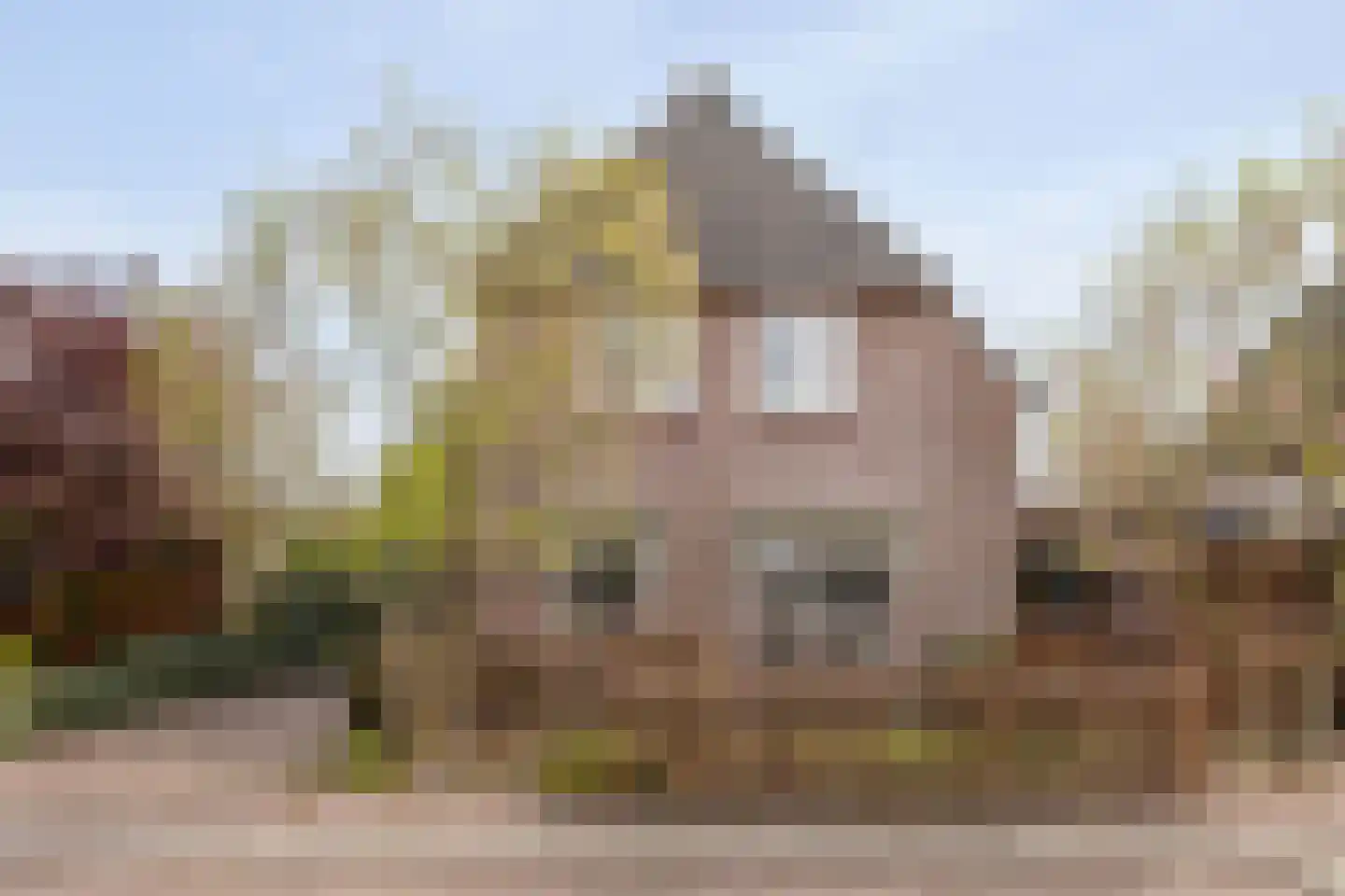 Ruiske 5 Veldhoven