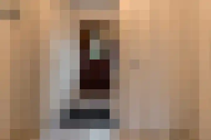 Ruissenbeemd 17 Breda thumbnail 17