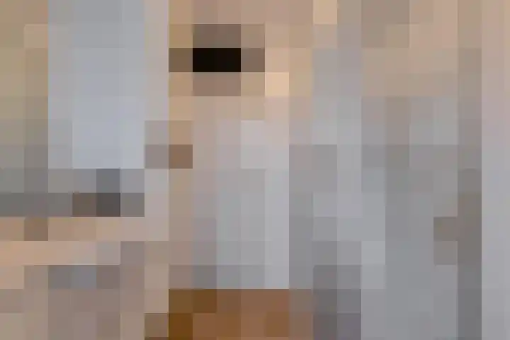 Ruissenbeemd 17 Breda thumbnail 27