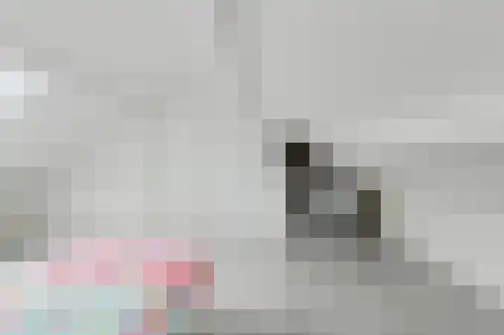 Ruissenbeemd 17 Breda thumbnail 34