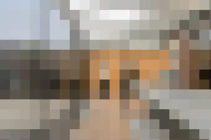 Ruissenbeemd 17 Breda thumbnail 38