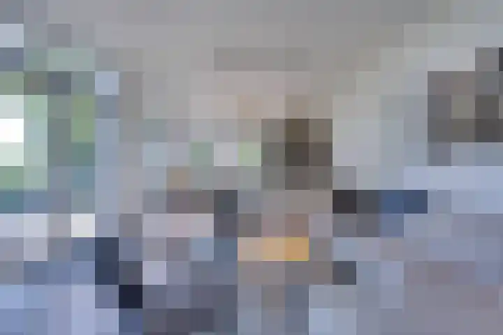 Ruisweg 89 Wemeldinge thumbnail 17