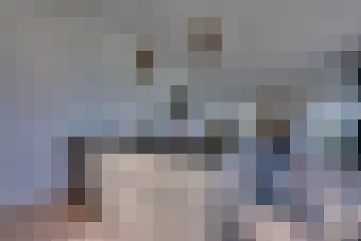 Ruisweg 89 Wemeldinge thumbnail 21