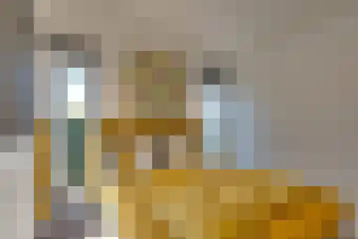 Ruisweg 89 Wemeldinge thumbnail 35
