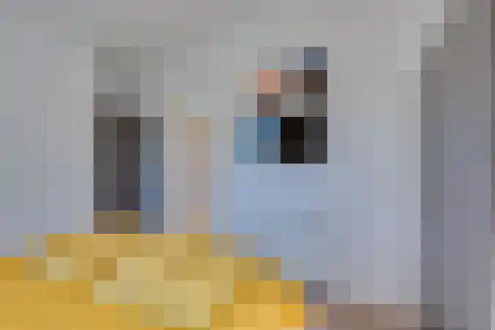 Ruisweg 89 Wemeldinge thumbnail 38