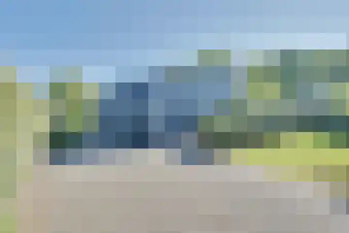 Ruisweg 89 Wemeldinge thumbnail 39