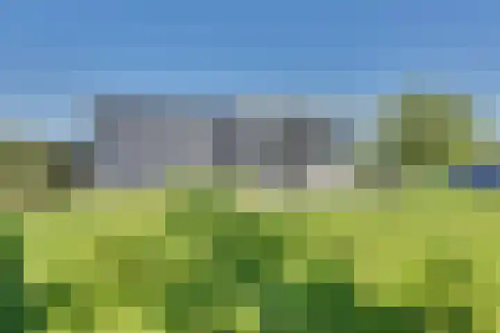 Ruisweg 89 Wemeldinge thumbnail 44
