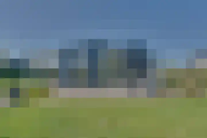 Ruisweg 89 Wemeldinge thumbnail 48