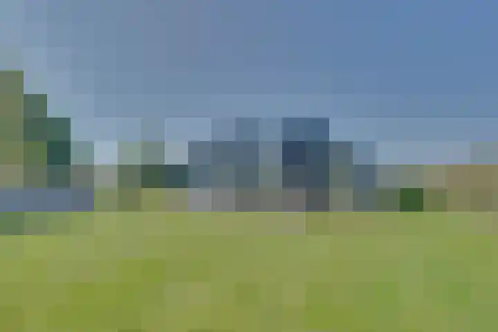 Ruisweg 89 Wemeldinge thumbnail 49