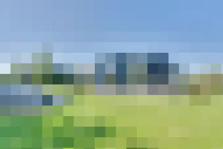 Ruisweg 89 Wemeldinge thumbnail 50