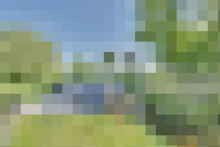 Ruisweg 89 Wemeldinge thumbnail 53