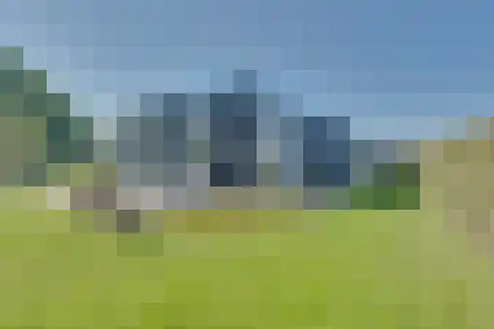 Ruisweg 89 Wemeldinge thumbnail 55