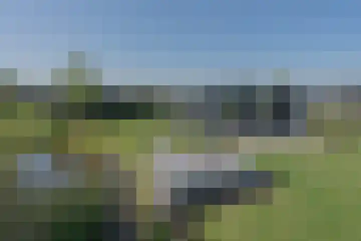 Ruisweg 89 Wemeldinge thumbnail 60