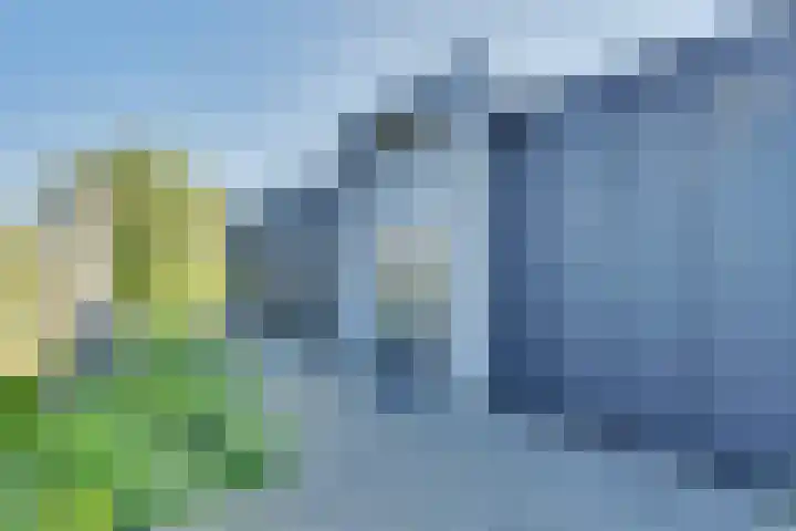 Ruisweg 89 Wemeldinge thumbnail 8