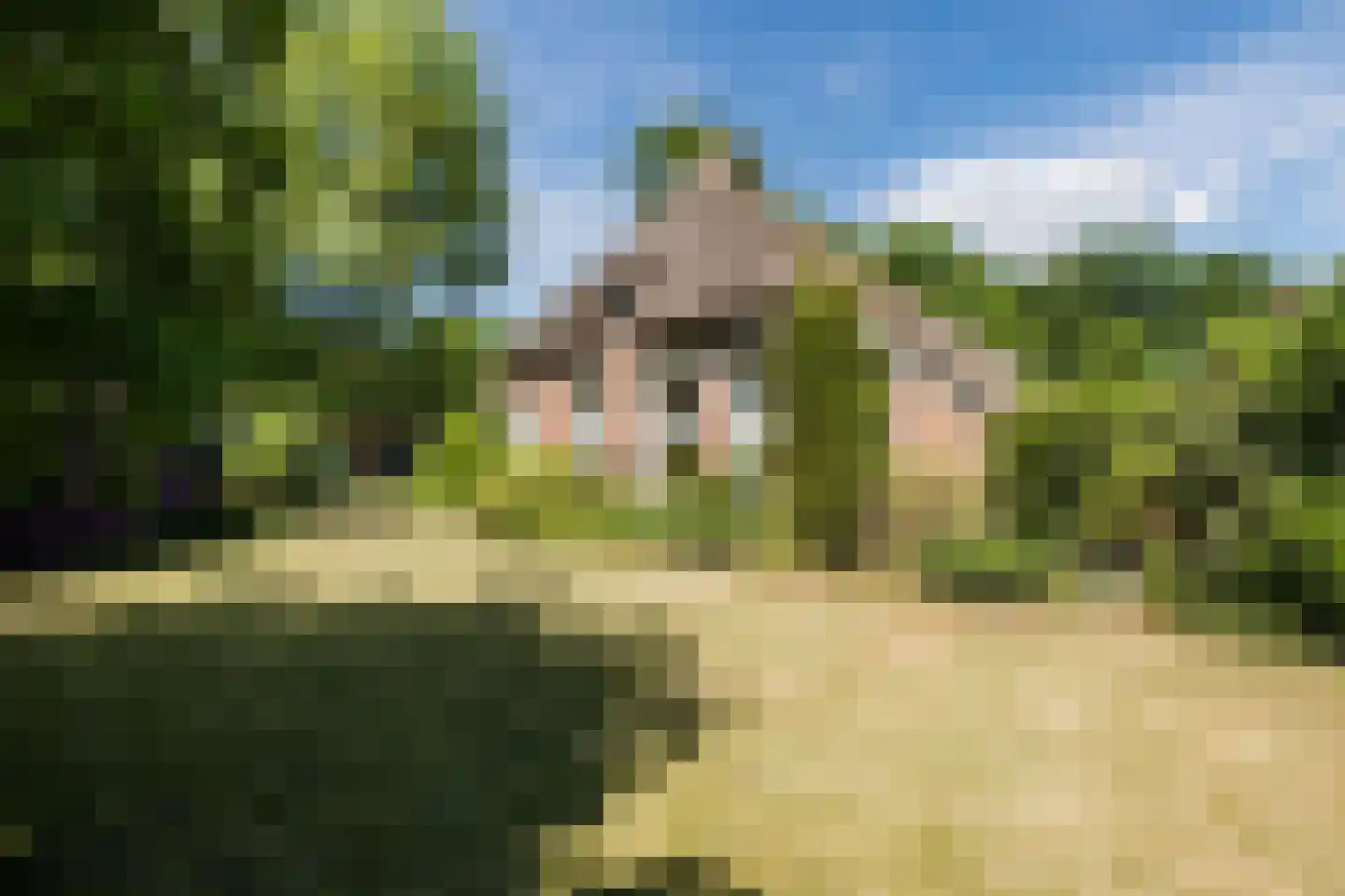 Ruitenveen 15 in Nieuwleusen