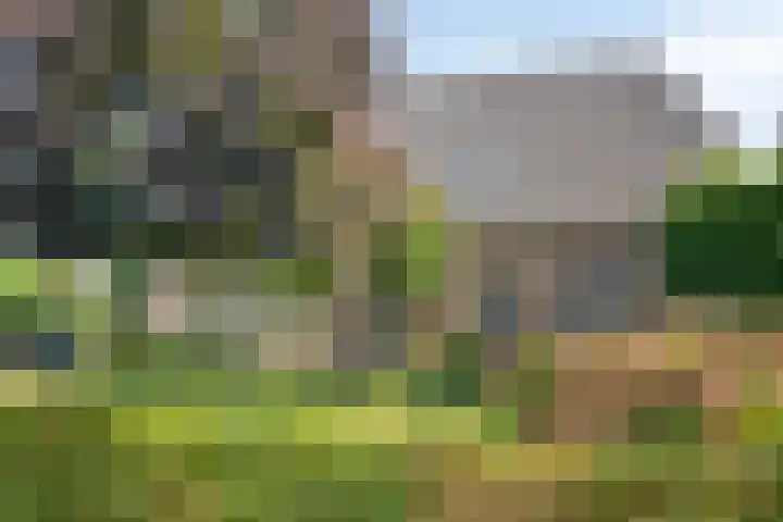 Ruiter 21 Someren thumbnail 11