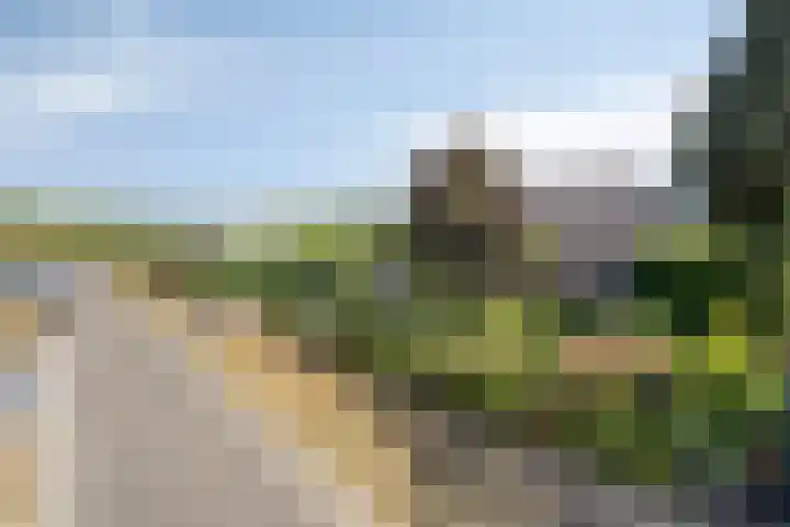 Ruiter 21 Someren thumbnail 15