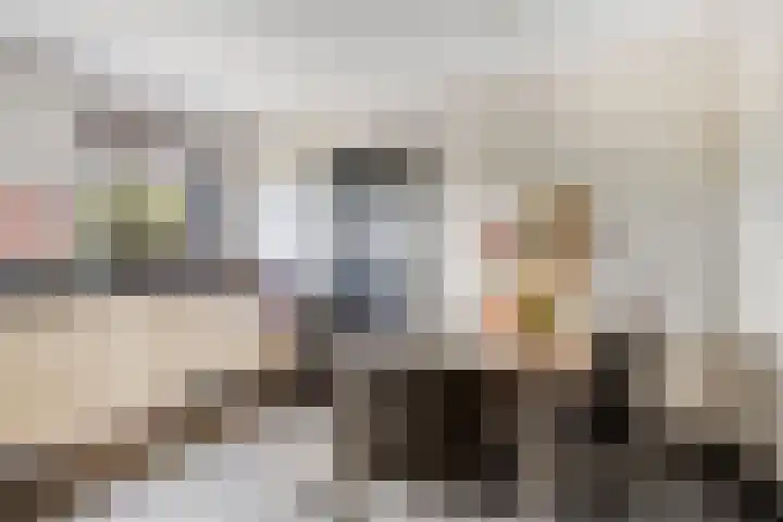 Ruiter 21 Someren thumbnail 26