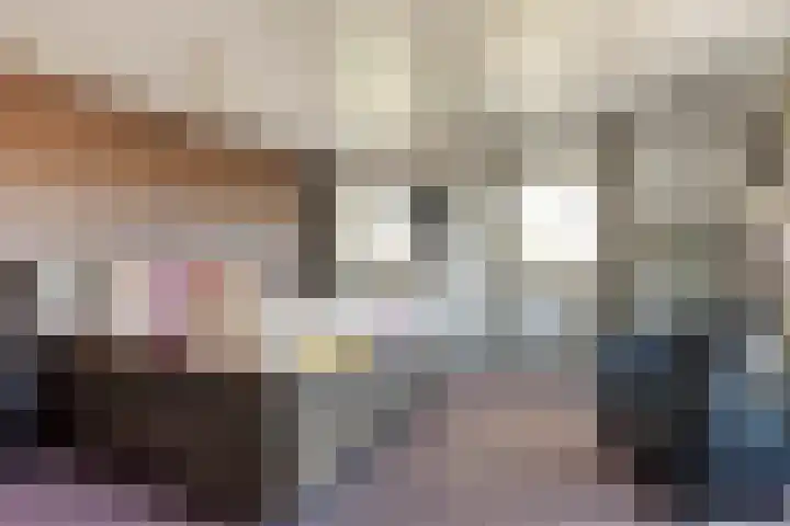 Ruiter 21 Someren thumbnail 37