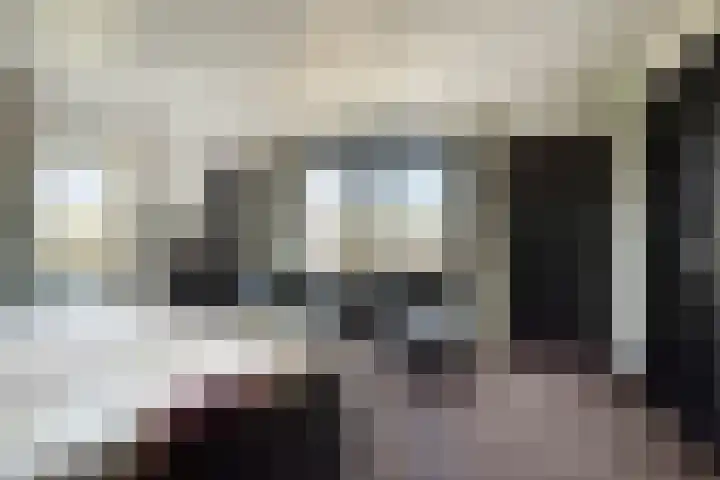 Ruiter 21 Someren thumbnail 4