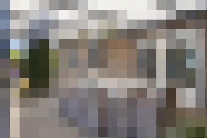 Ruiter 21 Someren thumbnail 50