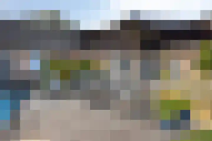 Ruiter 21 Someren thumbnail 55