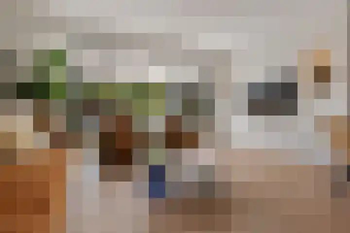 Ruiterakker 127 Assen thumbnail 15