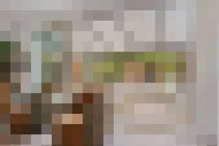 Ruiterakker 127 Assen thumbnail 16