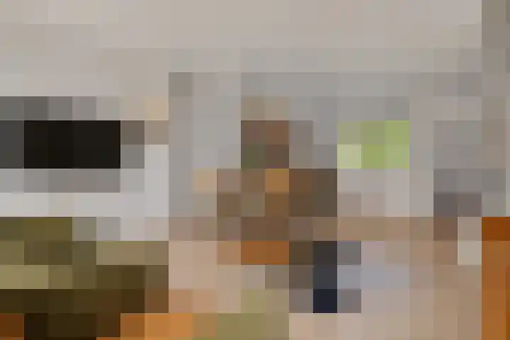 Ruiterakker 127 Assen thumbnail 17