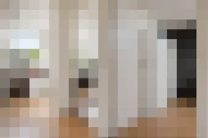 Ruiterakker 127 Assen thumbnail 28