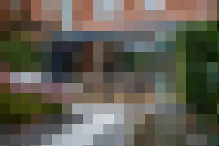 Ruiterakker 127 Assen thumbnail 35
