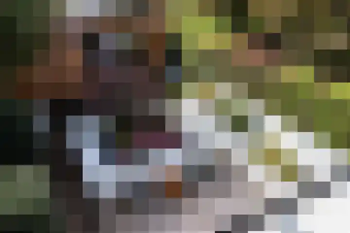 Ruiterakker 127 Assen thumbnail 38
