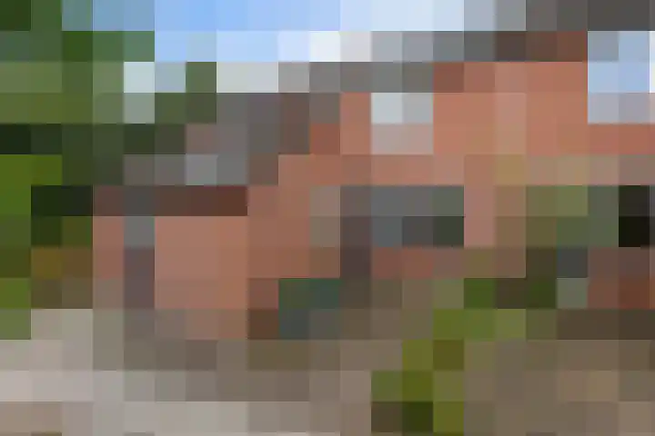 Ruiterakker 127 Assen thumbnail 4