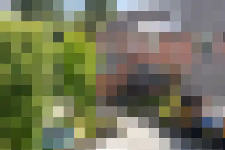 Ruiterakker 127 Assen thumbnail 44