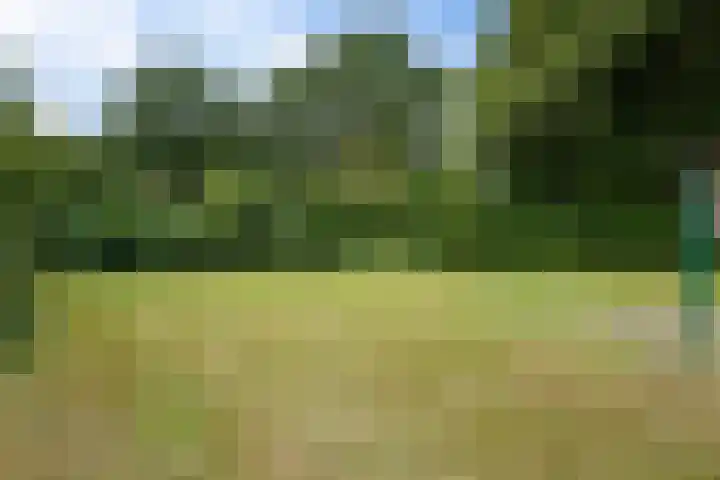 Ruiterakker 127 Assen thumbnail 46