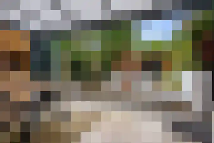 Ruiterakker 127 Assen thumbnail 5
