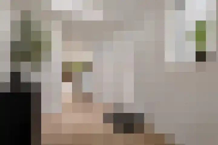 Ruiterakker 127 Assen thumbnail 7
