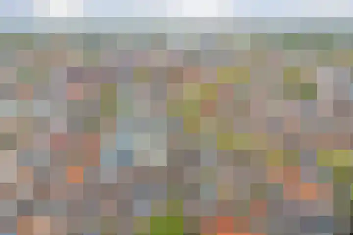 Ruitercamp 151 Houten thumbnail 10