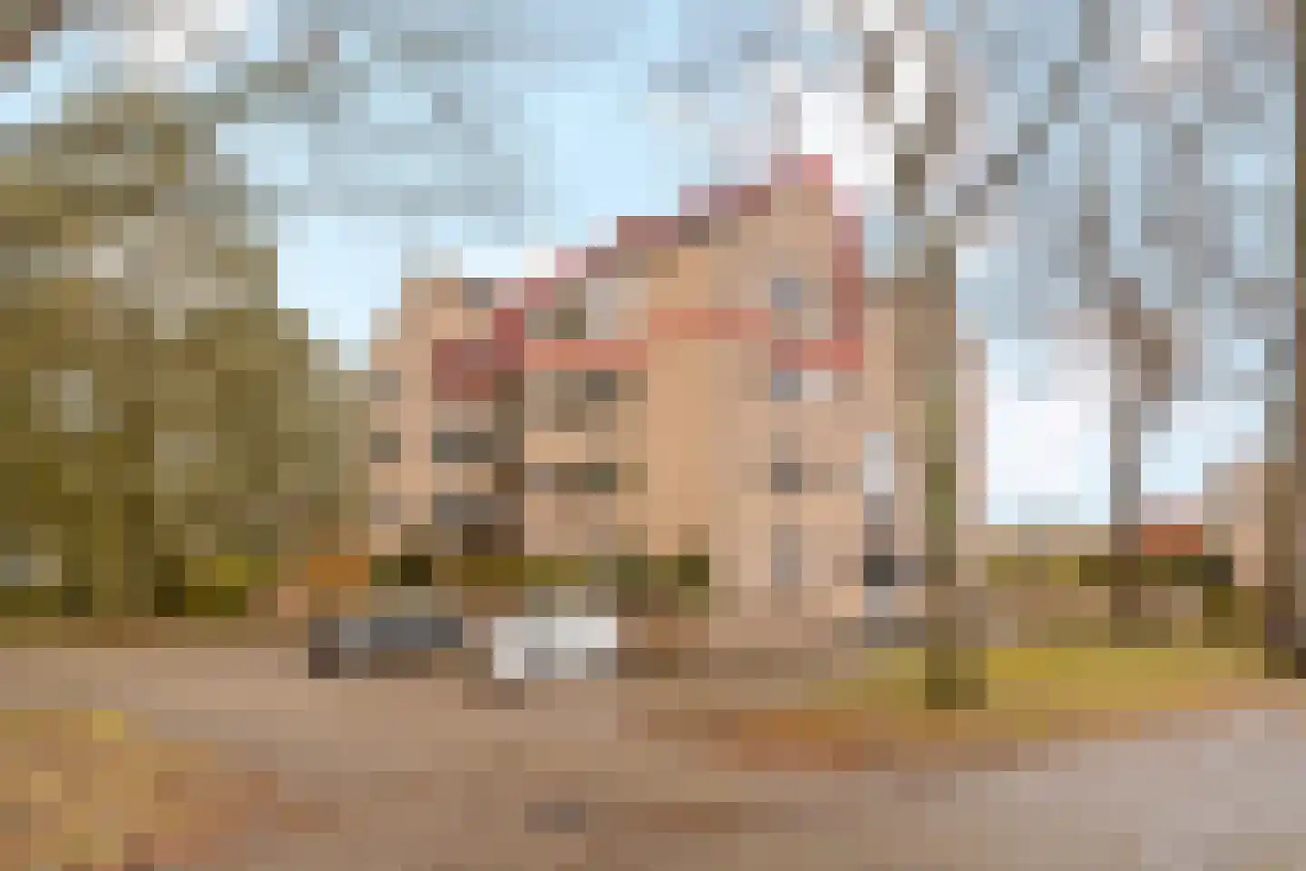 Ruitercamp 151 Houten thumbnail 20