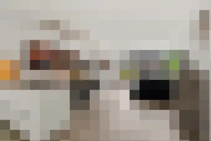 Ruitercamp 92 Houten thumbnail 13
