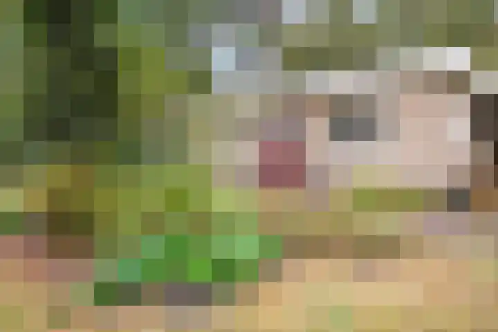 Ruitercamp 92 Houten thumbnail 16
