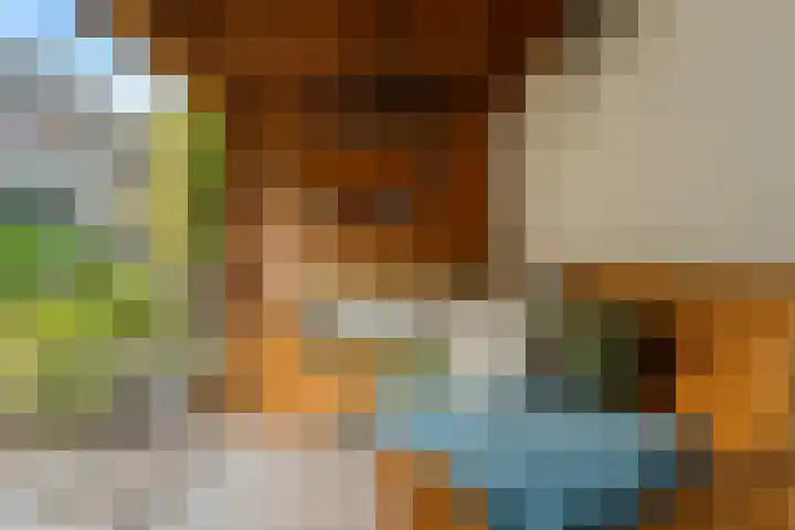 Ruitercamp 92 Houten thumbnail 18