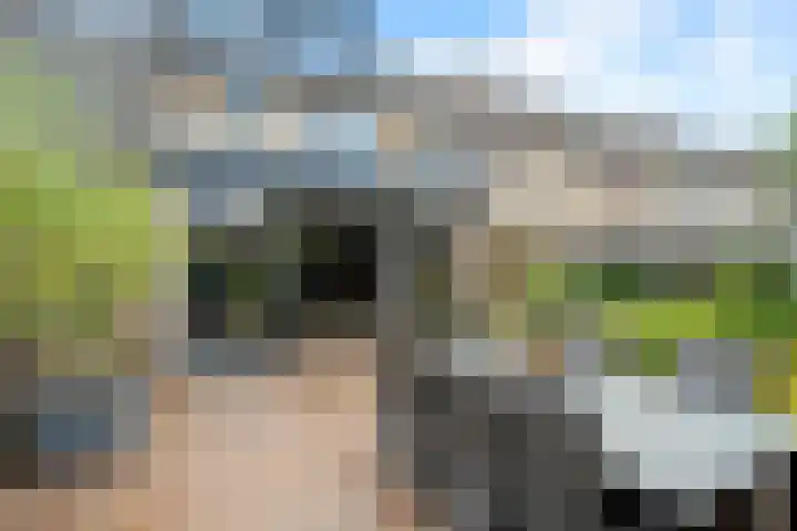 Ruitercamp 92 Houten thumbnail 20