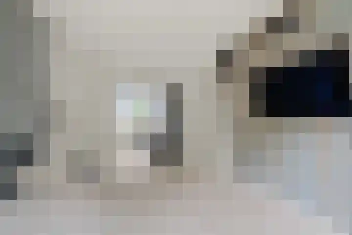 Ruitercamp 92 Houten thumbnail 23