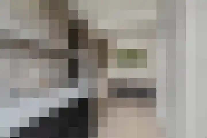 Ruitercamp 92 Houten thumbnail 24
