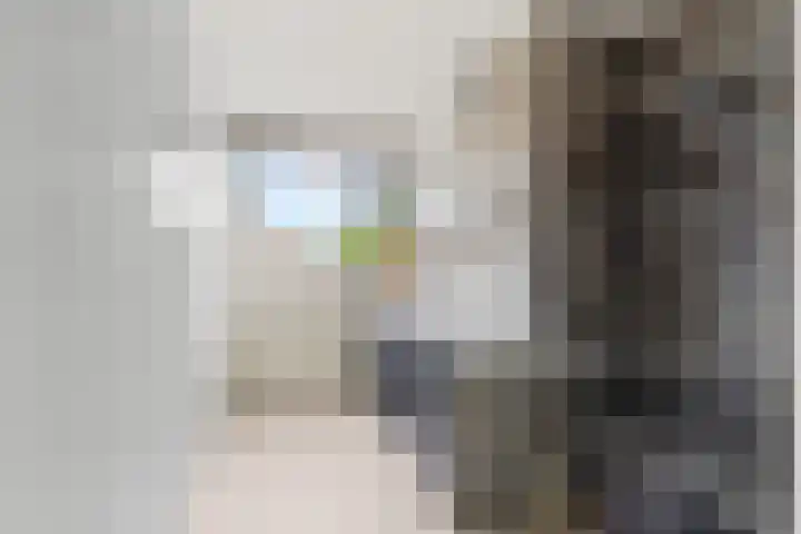 Ruitercamp 92 Houten thumbnail 25