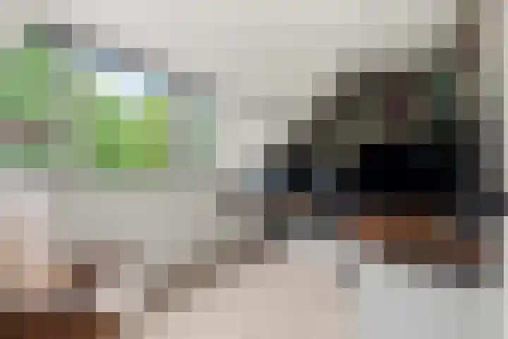Ruitercamp 92 Houten thumbnail 32