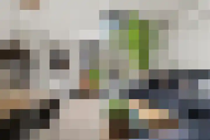 Ruitercamp 92 Houten thumbnail 4