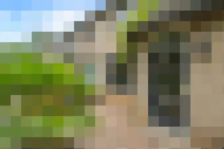 Ruitercamp 92 Houten thumbnail 40
